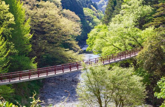 あきる野市の土地査定なら！ | センチュリー21ウイングホーム 